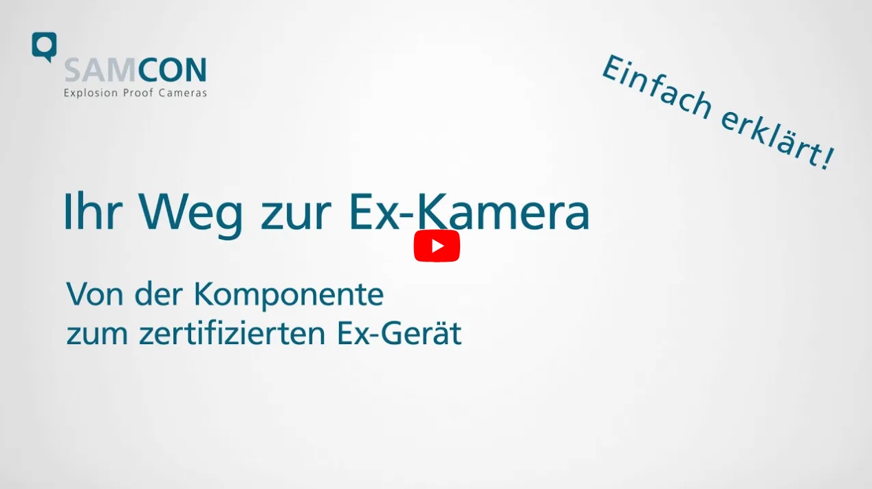 Video abspielen